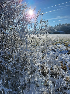 Licht in der Winterzeit