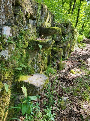 nat?rliche Wand