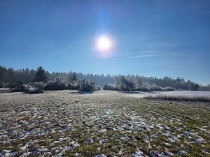 Wiese im Winter